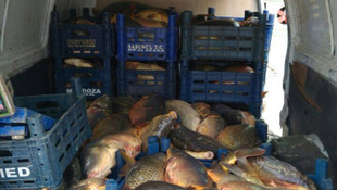 Elazığ'da kaçak balık avcılığı