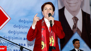 Eski MHP Milletvekili Akşener: