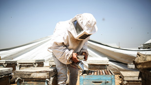 Gazze'de zor şartlarda bal üretimi