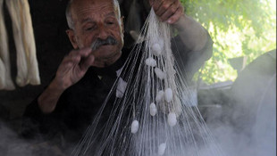 Hatayda ipek üretimi geleneksel yöntemlerle yapılıyor