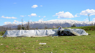 Hizan'da organik bal üretilecek