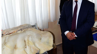 İş adamından üniversiteye 1 milyon yıllık fosil bağışı