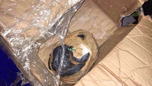 İstanbul'daki terör ögrütü operasyonları