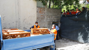 İzmir'de kaçak tavuk kesimi operasyonu