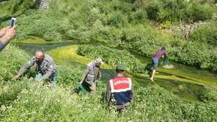 Biyokaçakçılık yapan iki kişiye 81 bin TL ceza!
