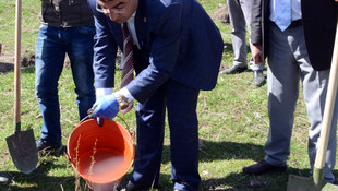 Karsta ayılar için ormana meyve fidanı dikildi