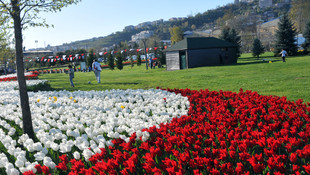 Kocaeli Geleneksel 9. Lale Festivali