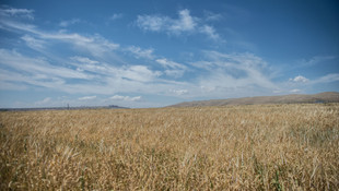 Kuraklıkla yaşamaya alışmamız gerekiyor