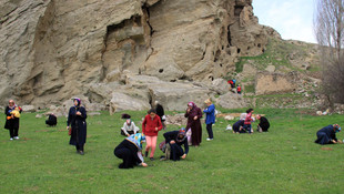 Madımağı görünce kültür yolunu unuttular