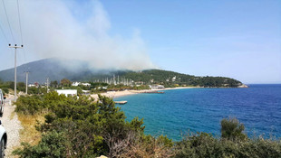 Muğla'da orman yangını