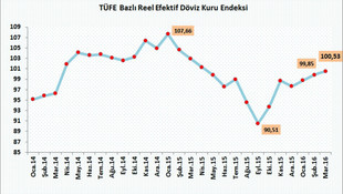 Reel efektif döviz kuru 11 ayın en yükseğinde