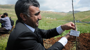 Şehitlerin adına hatıra ormanı