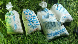 Siirt'te terör operasyonu