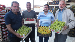 Silifke nektarin ve şeftalide de iddialı