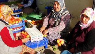 Nektarin hasadı üreticinin yüzünü güldürdü