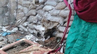 Şırnak'taki terör operasyonu