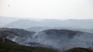Türkiye - Suriye sınırındaki orman yangını