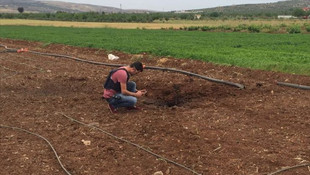 Suriye'den Kilis'e roket mermisi atıldı