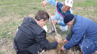 TİKA, Kırgızistan'da Fasulyecilik Projesi başlattı