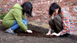 İstanbul Üniversitesi bahçesinde organik tarım