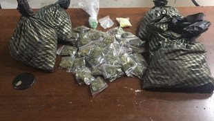 Yunuslar görev başında