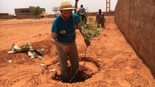 Afrika'da su kuyusu açıp ağaç diktiler
