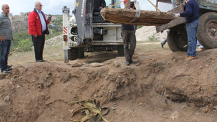 Ağaçlandırma çalışmasında tarih eser bulundu