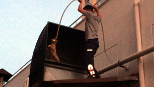 Antalya'da bacaya düşen kediyi kurtarma operasyonu