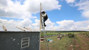 Arılarının güvenliği için kamera sistemi kurdu
