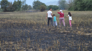 Aydın'da arpa tarlasında yangın