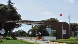 Balıkesir'de Koyunculuk Araştırma Enstitüsü Müdürlüğünde arama