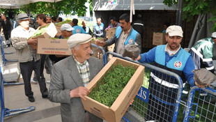 Kayseride belediyeden tarıma organik fide desteği
