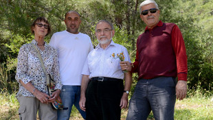 Belen bezelyesi İngiliz bahçelerini süslüyor