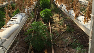 Bismil'de uyuşturucu operasyonu