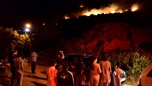 Bodrum'da makilik alanda yangın