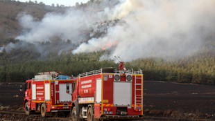Buğday tarlasında çıkan yangın ormana sıçradı