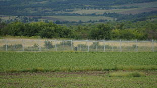 Bulgaristan-Türkiye sınırındaki tel çit