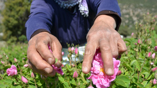 Burdur tekrar Göller ve güller yöresi olacak