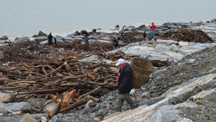 Denizden odun topladılar