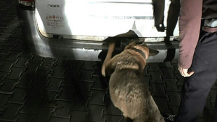 Diyarbakır'da uyuşturucu operasyonu