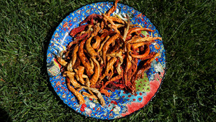 Dünyanın en acı yarışması Edirne'de yapılacak