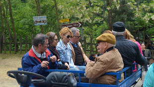 Düzce'de Pat Pat Safarisi