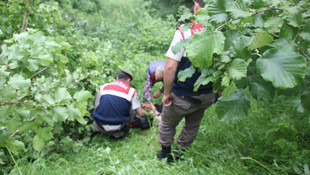 Düzce'de tarım aracı devrildi: 1 ölü
