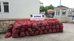 Edirne'de kaçak midye operasyonu