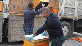 Erzincan'da arı kovanları arasından kaçak sigara