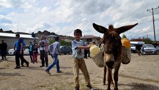 Fotoğrafçıların Nuh'un Kenti Ağrı yarışı