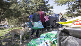 Hayvansever çiftten barınakta düğün