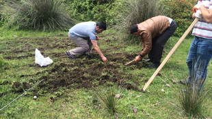 İzinsiz yabani orkide toplayan kişiye 41 bin lira ceza