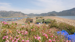 İztuzu Plajı ihalesi