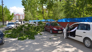 Kahramanmaraş'ta kuvvetli rüzgar